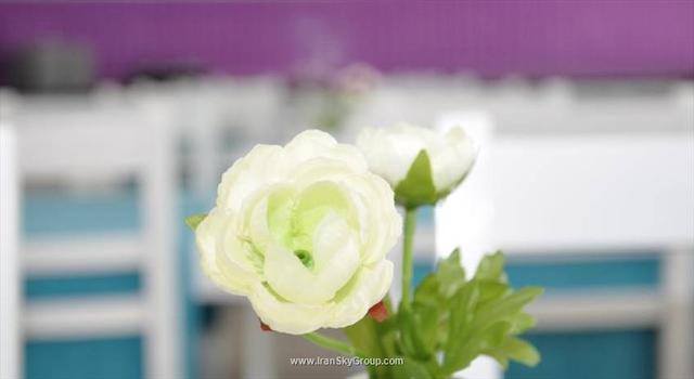 آنتالیا پالاس هتل