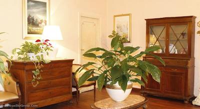 هتل سیستینا