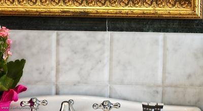 پاناما گاردن