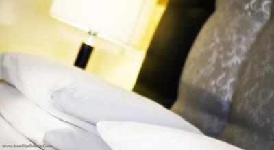 پاناما گاردن