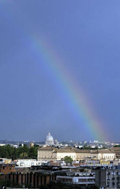 بست وسترن پیکادیلی