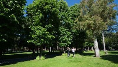 کاسا لا سال