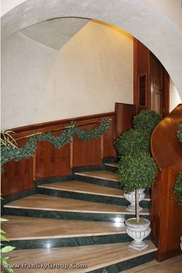 رجینا مارگریتا