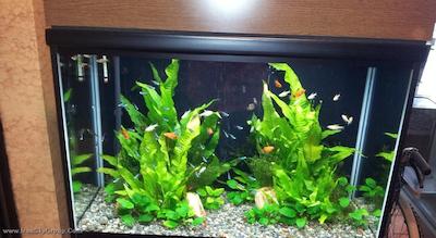 گینزا کپیتال هتل-انکس