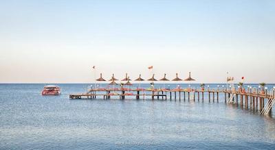 کرملین پالاس