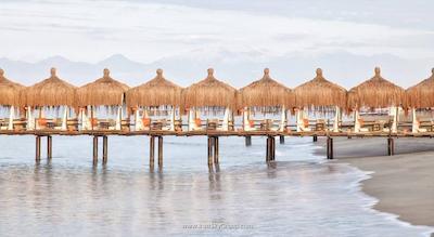 کرملین پالاس