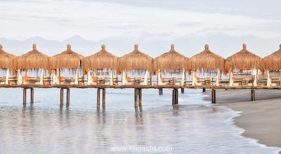 کرملین پالاس