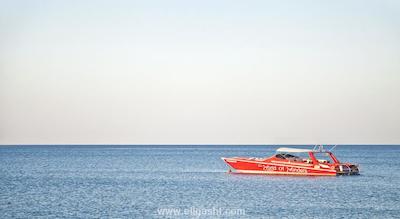 کرملین پالاس