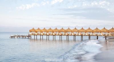 کرملین پالاس