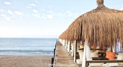 کرملین پالاس