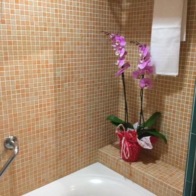 گرین پارک هتل پامفیلی