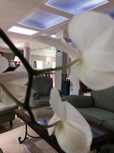 گرین پارک هتل پامفیلی