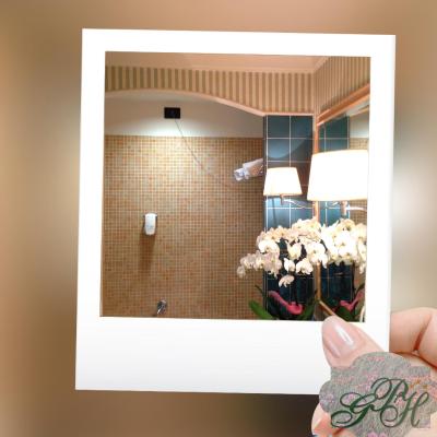 گرین پارک هتل پامفیلی