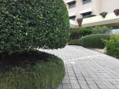 گرین پارک هتل پامفیلی