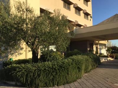 گرین پارک هتل پامفیلی