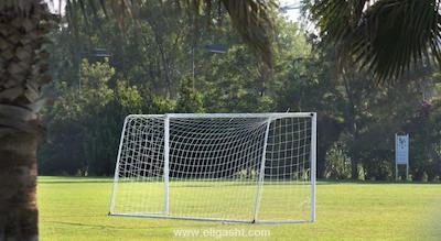 دلفین بی گراند ریزورت