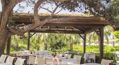 دلفین بی گراند ریزورت