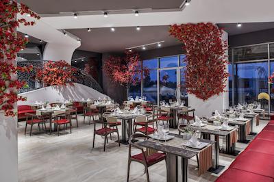 دلفین بی گراند ریزورت