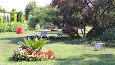 دلفین بی گراند ریزورت