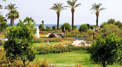 میراکل ریزورت هتل