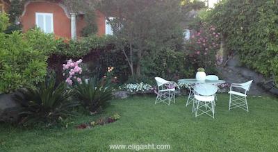 هم استی هم نیشانتاشی