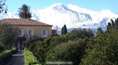 هم استی هم نیشانتاشی