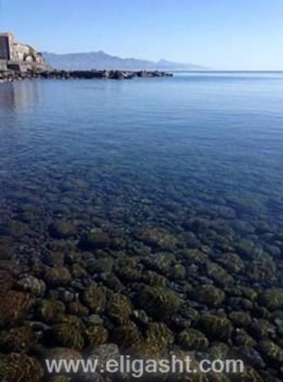 هم استی هم نیشانتاشی