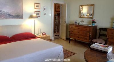 هم استی هم نیشانتاشی