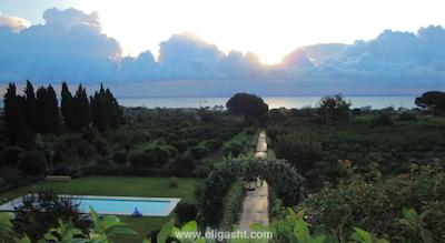 هم استی هم نیشانتاشی