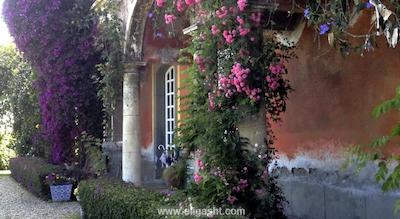 هم استی هم نیشانتاشی