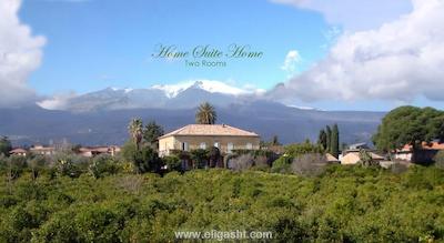 هم استی هم نیشانتاشی