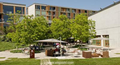 دابل تری آوچیلار هیلتون