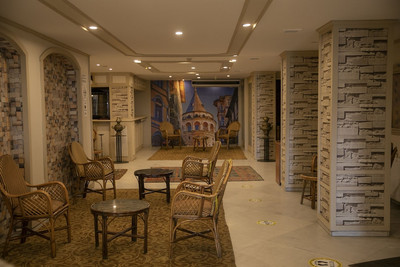 هالی