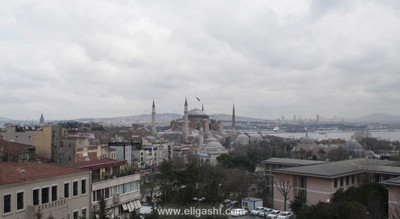 هالی