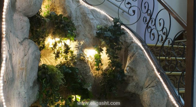 هالی
