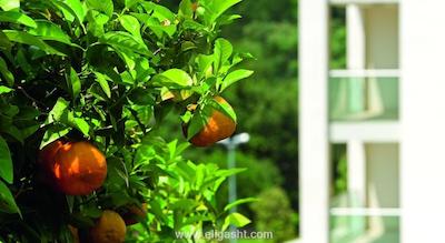 ریپابلیکا هتل