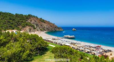 ریکسوس تکیروا