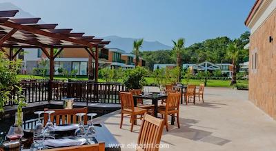 ریکسوس تکیروا