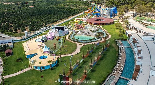 ریکسوس تکیروا