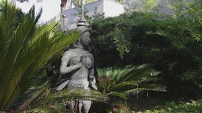 ریکسوس سانگیت