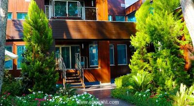 ریکسوس سانگیت