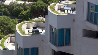 ریکسوس سانگیت