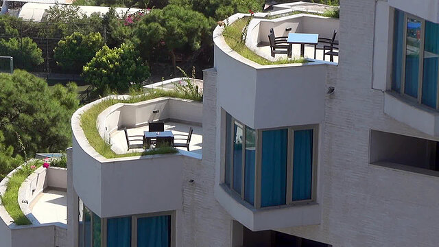 ریکسوس سانگیت