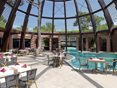 ریکسوس سانگیت