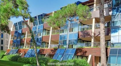 ریکسوس سانگیت