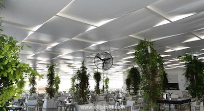 ریکسوس سانگیت