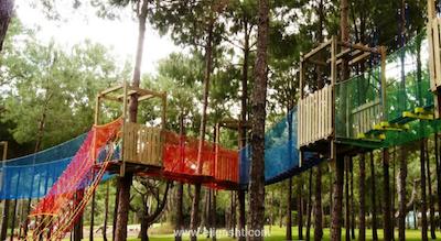 ریکسوس سانگیت