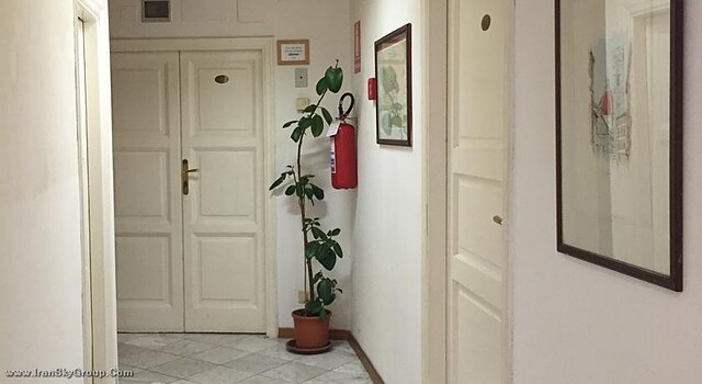 اسکوت