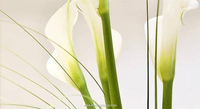 آریون آتن هتل