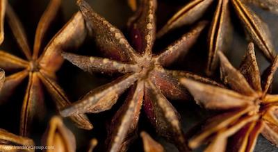 حیات ریجنسی پونا